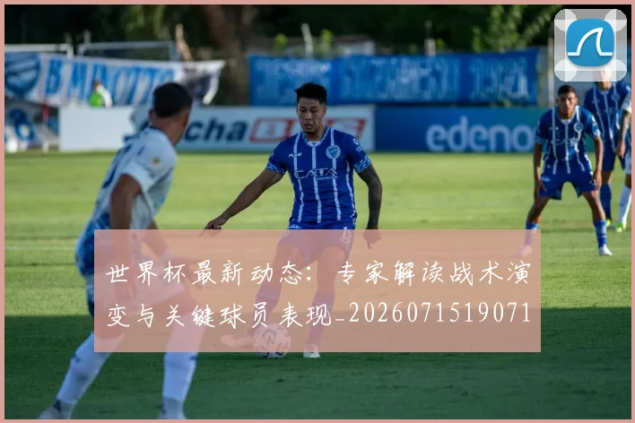 世界杯最新动态：专家解读战术演变与关键球员表现_20260715190714