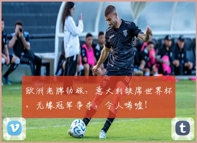 欧洲老牌劲旅，意大利缺席世界杯，无缘冠军争夺，令人唏嘘！