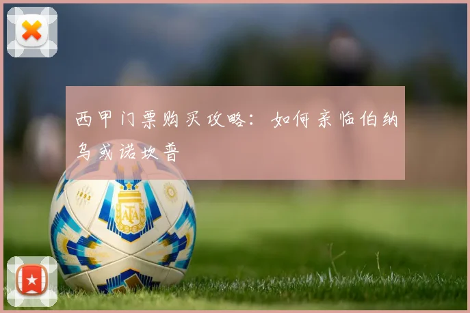 西甲门票购买攻略：如何亲临伯纳乌或诺坎普